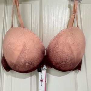 COSABELLA push up bra 36B